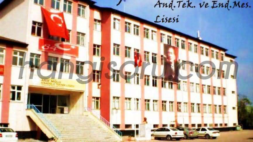 arif molu mesleki ve teknik anadolu lisesi taban puani 2021 yuzdelik dilimi basarilari