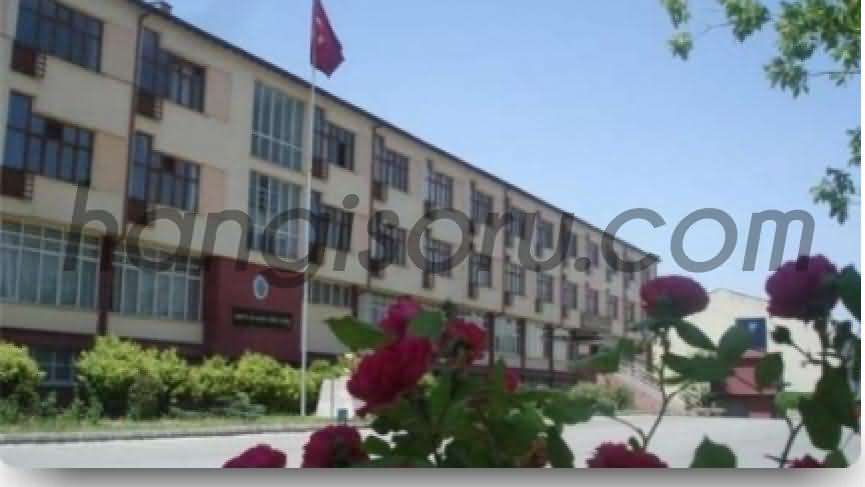 Atatürk Anadolu Lisesi Taban Puanı ve Yüzdelik Dilimi 2020